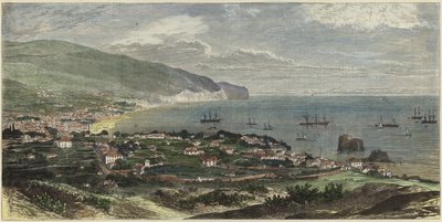 Bay ve Funchal kasabası by English School