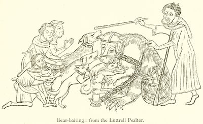ayı-baiting by English School