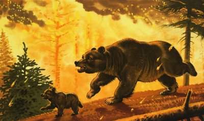 Bear and its cub running from forest fire by English School