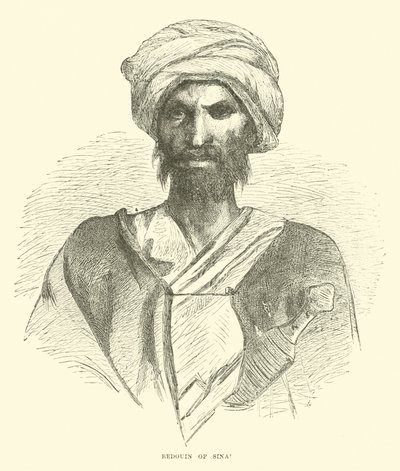 Sina Bedevi by English School
