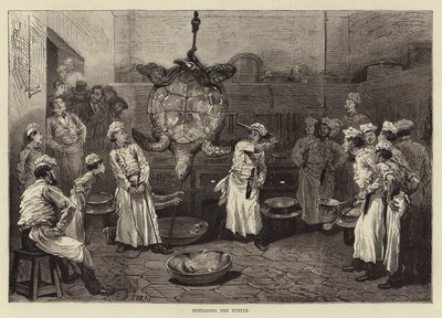 kaplumbağanın kafasını kesmek by English School