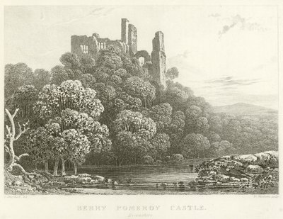 Berry Pomeroy Kalesi, Devonshire (gravür) by English School