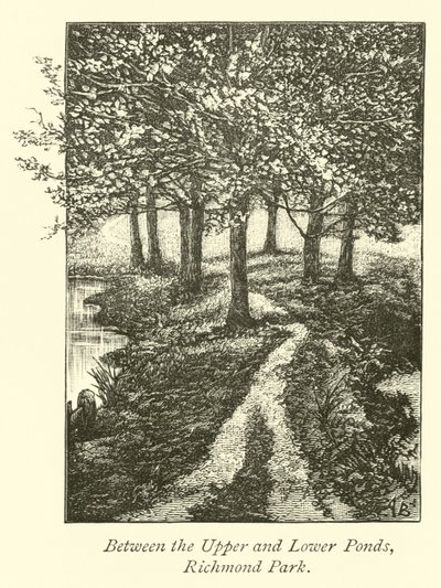 Yukarı ve Aşağı Göletler Arasında, Richmond Park by English School