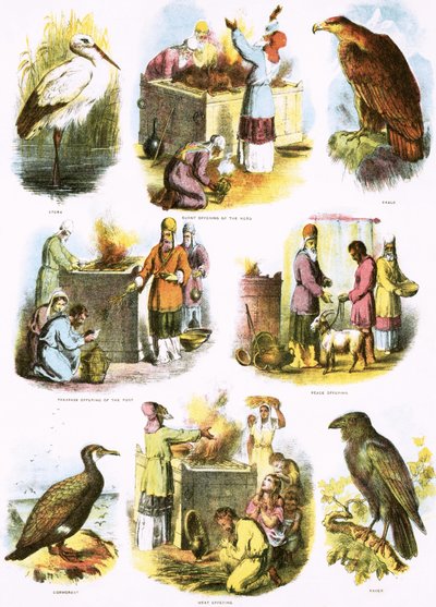 İncil çizimler by English School