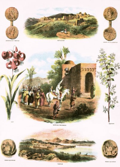 İncil çizimler by English School