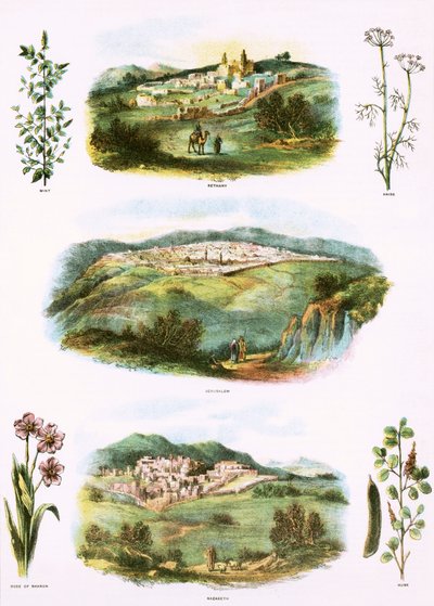 İncil çizimler by English School