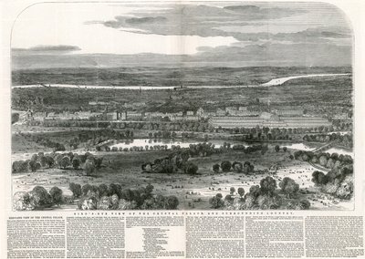 Kristal Saray ve Çevresindeki Ülkenin Kuşbakışı Görünümü, Büyük Sergi, 1851 by English School