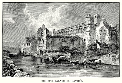 Piskopos Sarayı, S David