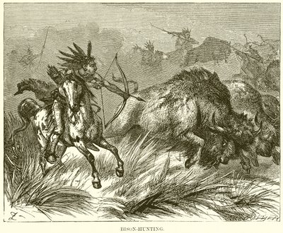 Bizon-Avcılık by English School