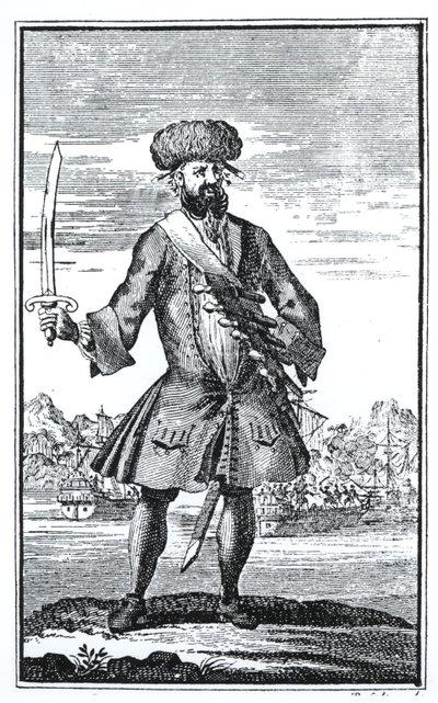 Karasakal Korsan, Kaptan Charles Johnson