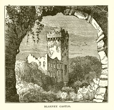 Blarney Kalesi by English School