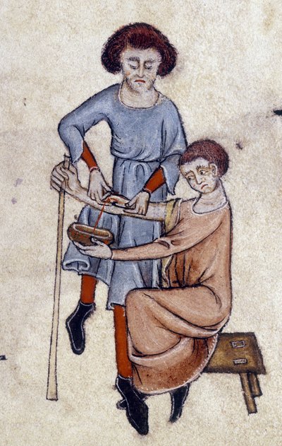 Luttrell Mezmurundan Kan Alma, c.1325-35 (parşömen) by English School