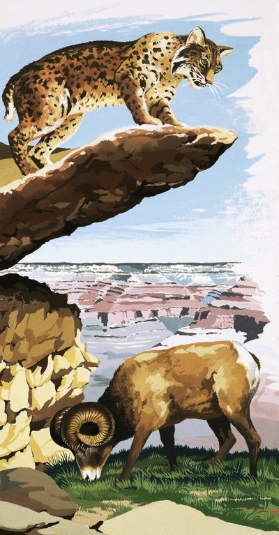 Büyük Kanyon Ulusal Parkı