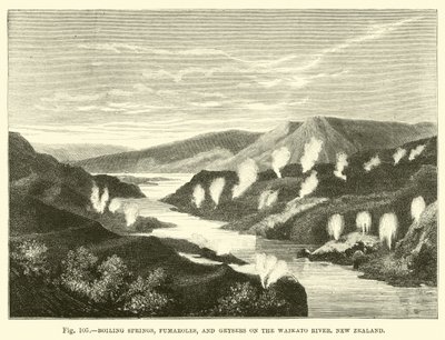 Waikato Nehri, Yeni Zelanda