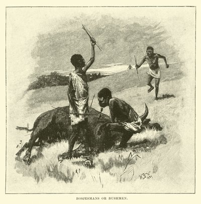 Bosjesmans veya Bushmen by English School