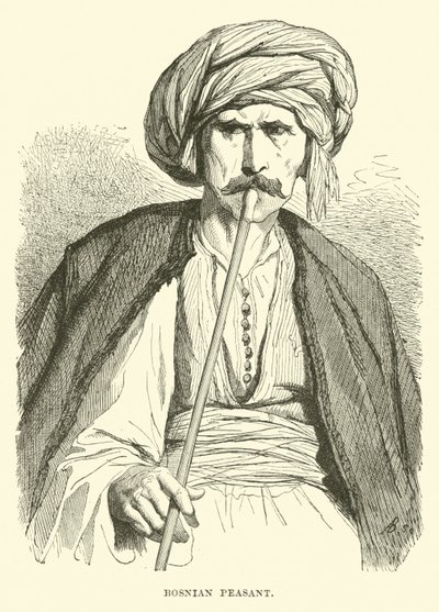 Bosnalı köylü by English School