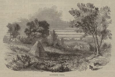 Bosworth Alanı by English School
