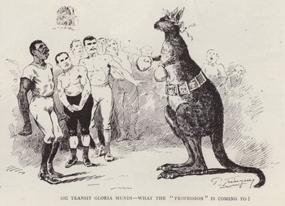 Boks kanguru (lito) by English School