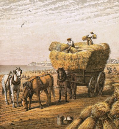 Bringing in the harvest by English School