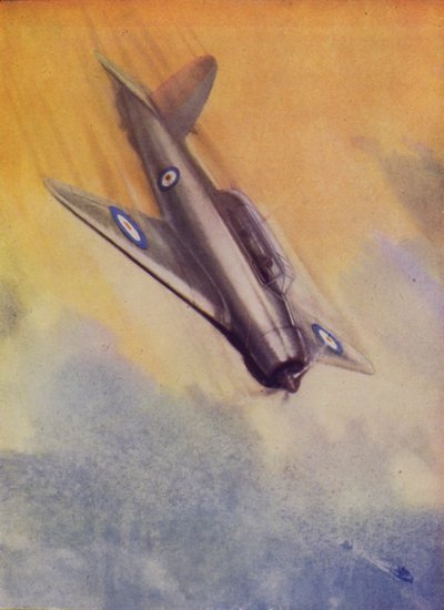 Fleet Air Arm