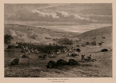 Kırlarda Bufalo Avı (gravür) by English School