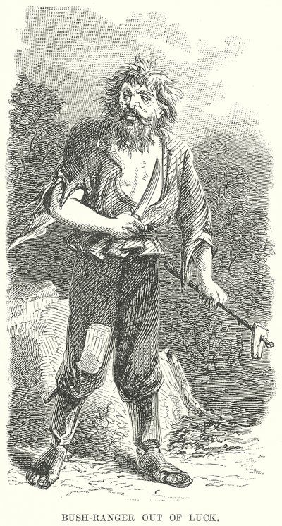 Bush-Ranger Şanssız (gravür) by English School