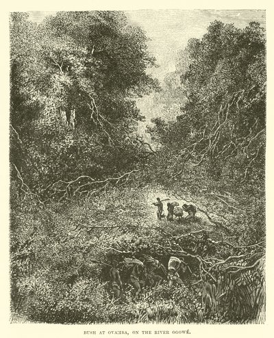 Ogowe Nehri üzerindeki Ovamba