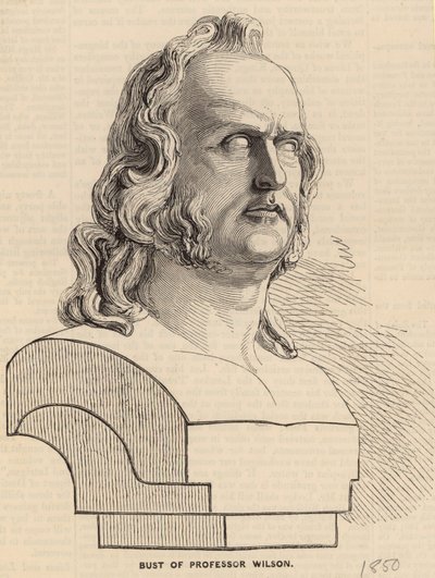 Profesör Wilson