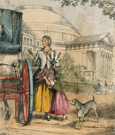 bir süpürge al by English School