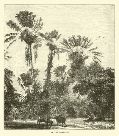 yol kenarında by English School