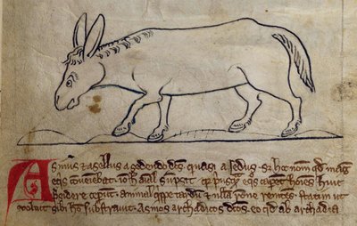 CCA-LitMs/D/10 fol. 10r Ass, Bestiary