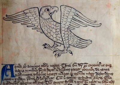 CCA-LitMs/D/10 fol. 13r Kartal, Bestiary
