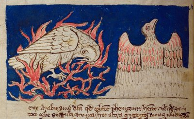 CCA-LitMs/D/10 fol. 17v Pheonix, Bestiary