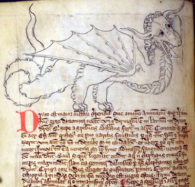 CCA-LitMs/D/10 fol. 24v Dragon, Bestiary