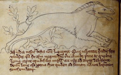 CCA-LitMs/D/10 fol. 3v Leucrota, Bestiary