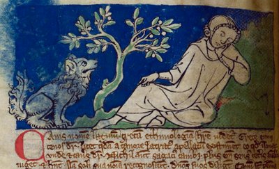 CCA-LitMs/D/10 fol. 5v Köpek, Bestiary