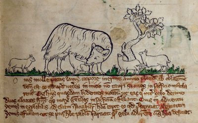 CCA-LitMs/D/10 fol. 8r Koyun, Bestiary