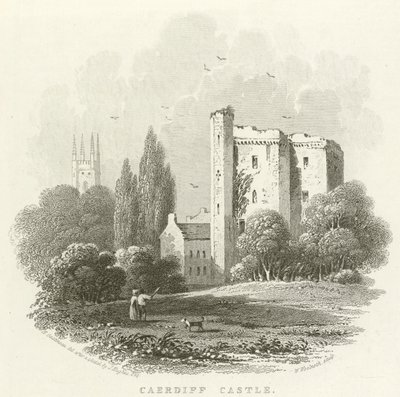 Cardiff Kalesi (gravür) by English School