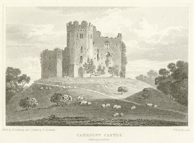 Cardiff Kalesi, Glamorganshire (gravür) by English School