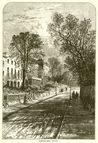 Camberwell Korusu by English School