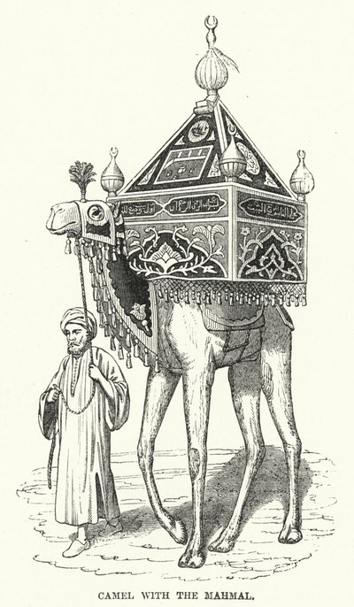 Mahmallı Deve (gravür) by English School