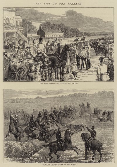 Curragh