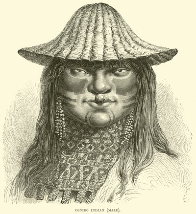 Canibo Hintli, erkek by English School
