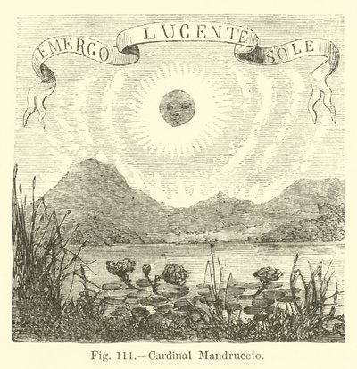 Kardinal Mandruccio by English School