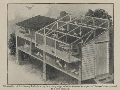 Savaşta güvercinler, Mart 1918 by English School