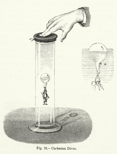 kartezyen dalgıç by English School