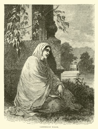 kaşmer dul by English School