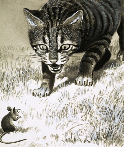 Kedi fareye yaklaşıyor by English School