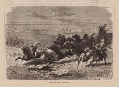 Vahşi Atları Yakalamak (gravür) by English School