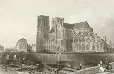 Notre Dame Katedrali - Paris by English School